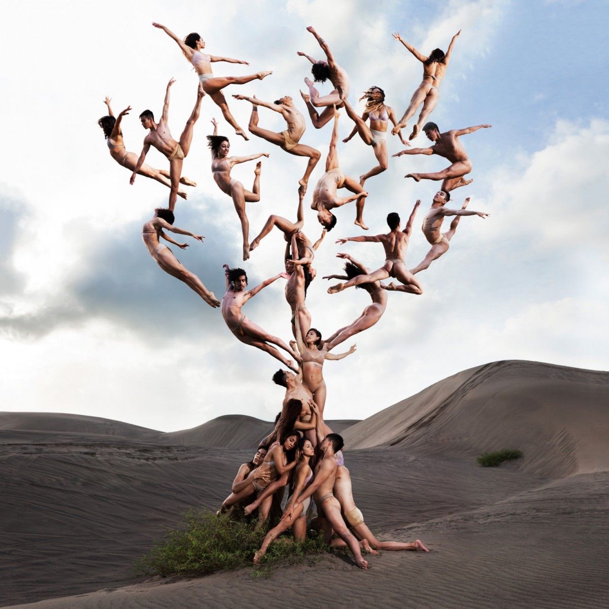 Foto: Rob Woodcox
