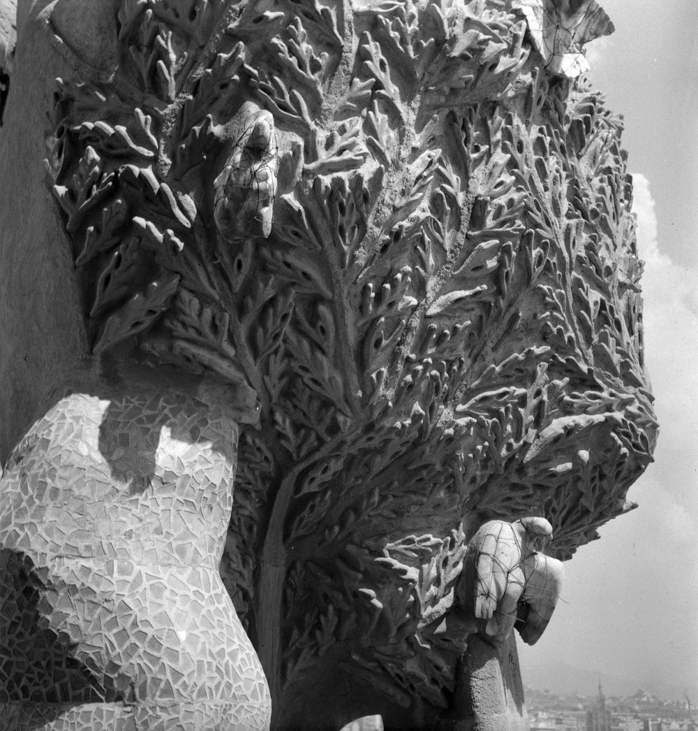 Joaquim Gomis.Detall de la representació de L’arbre de la vida al Temple de la Sagrada Família, 1946. Fons Joaquim Gomis, dipositat a l’Arxiu Nacional de Catalunya. © Hereus de Joaquim Gomis. Fundació Joan Miró, Barcelona, 2021.