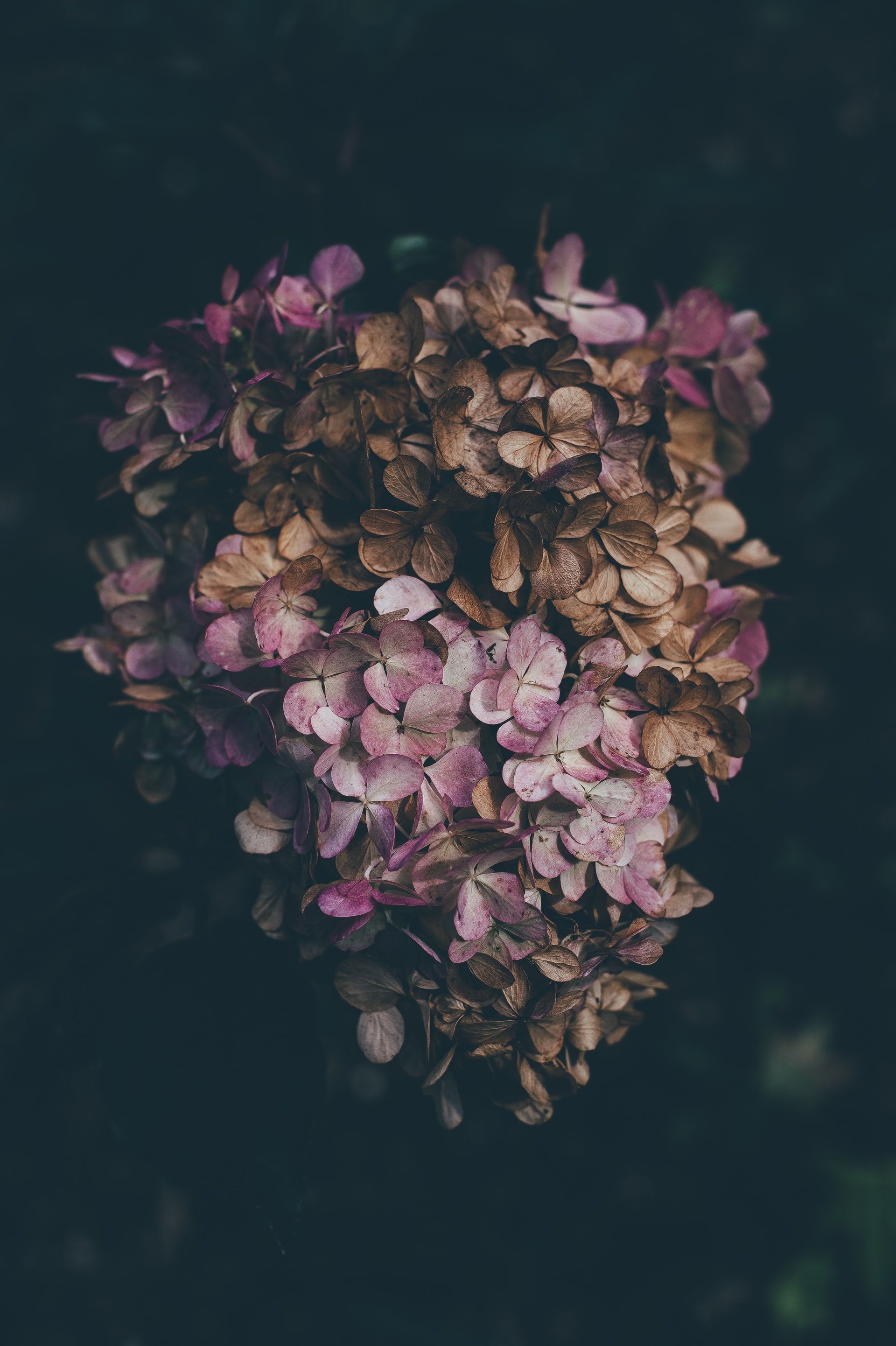 Foto: Annie Spratt