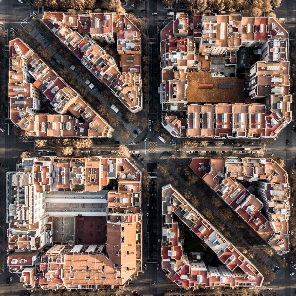 1200_15574152675