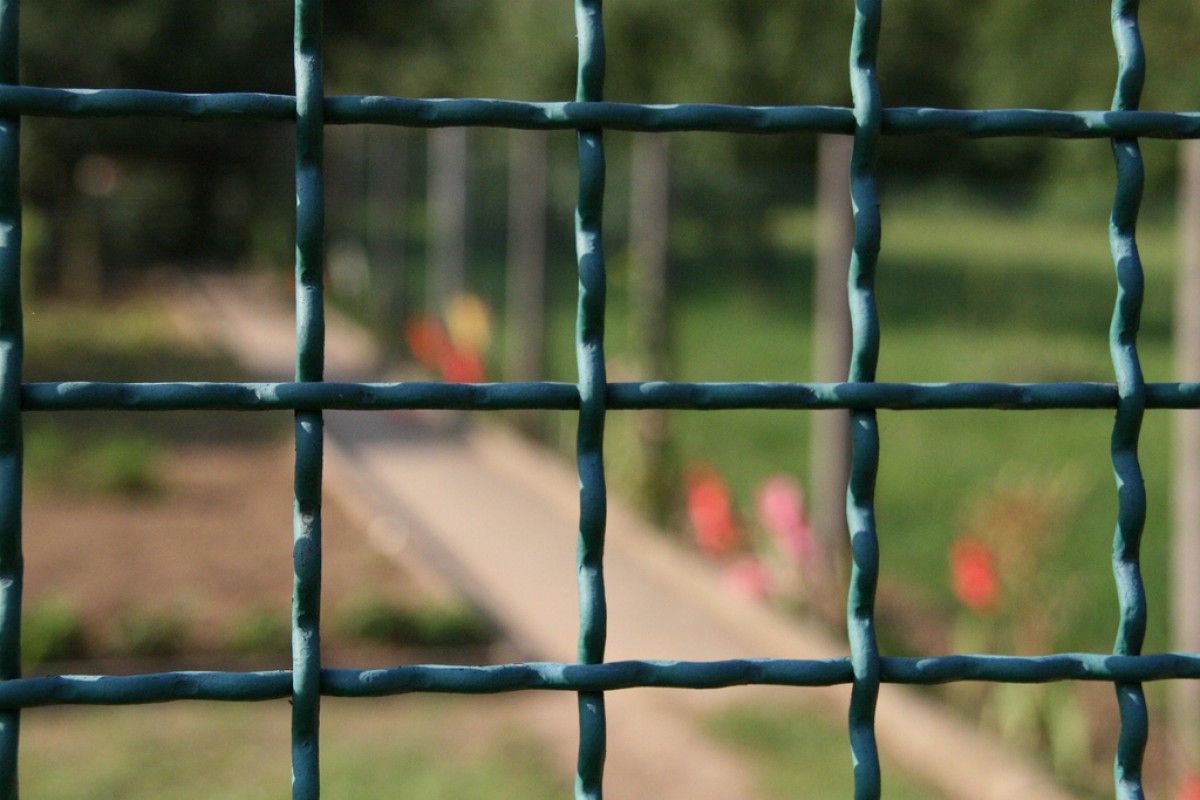 1200_1512559540afri.