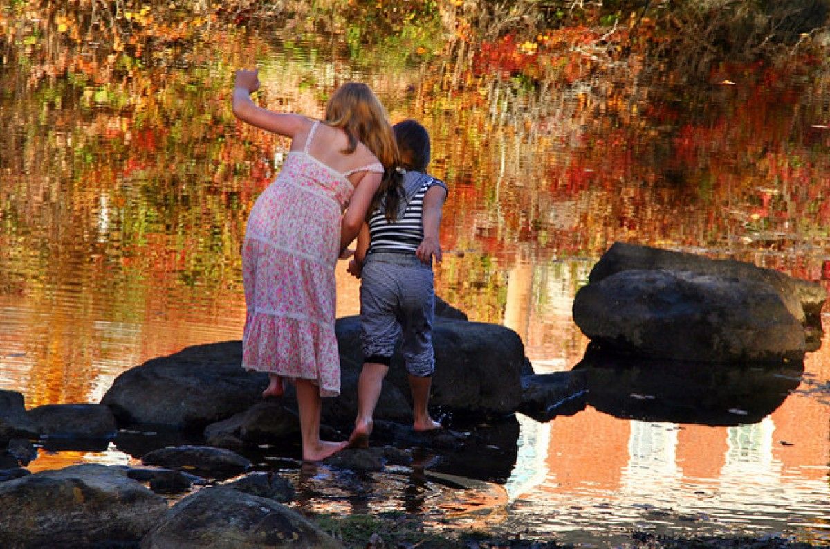 1200_1515062438liz_west