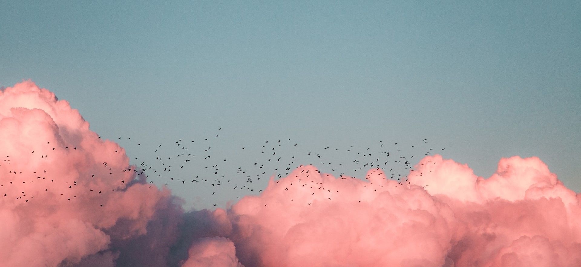 kenrick-mills-MF9Wy1NA55I-unsplash