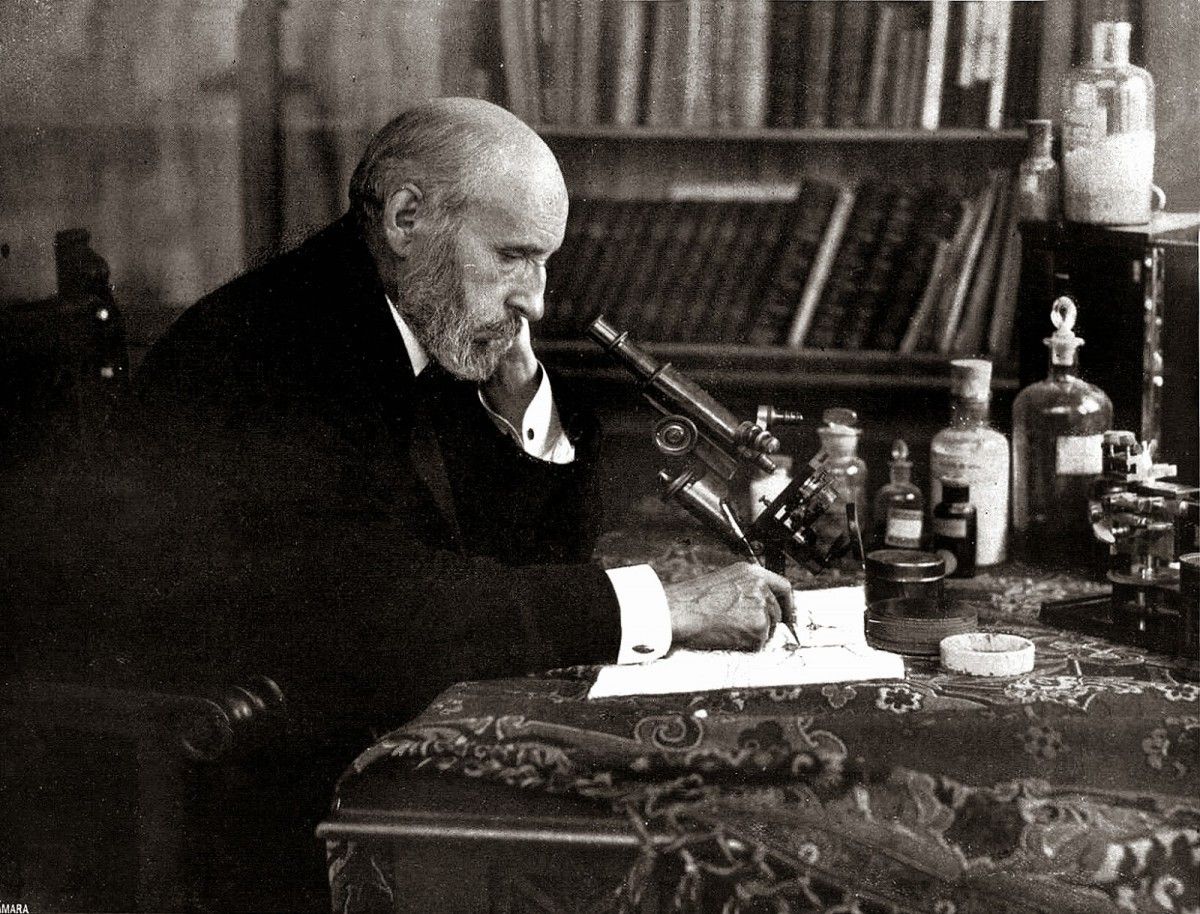 Les idees de Ramón y Cajal