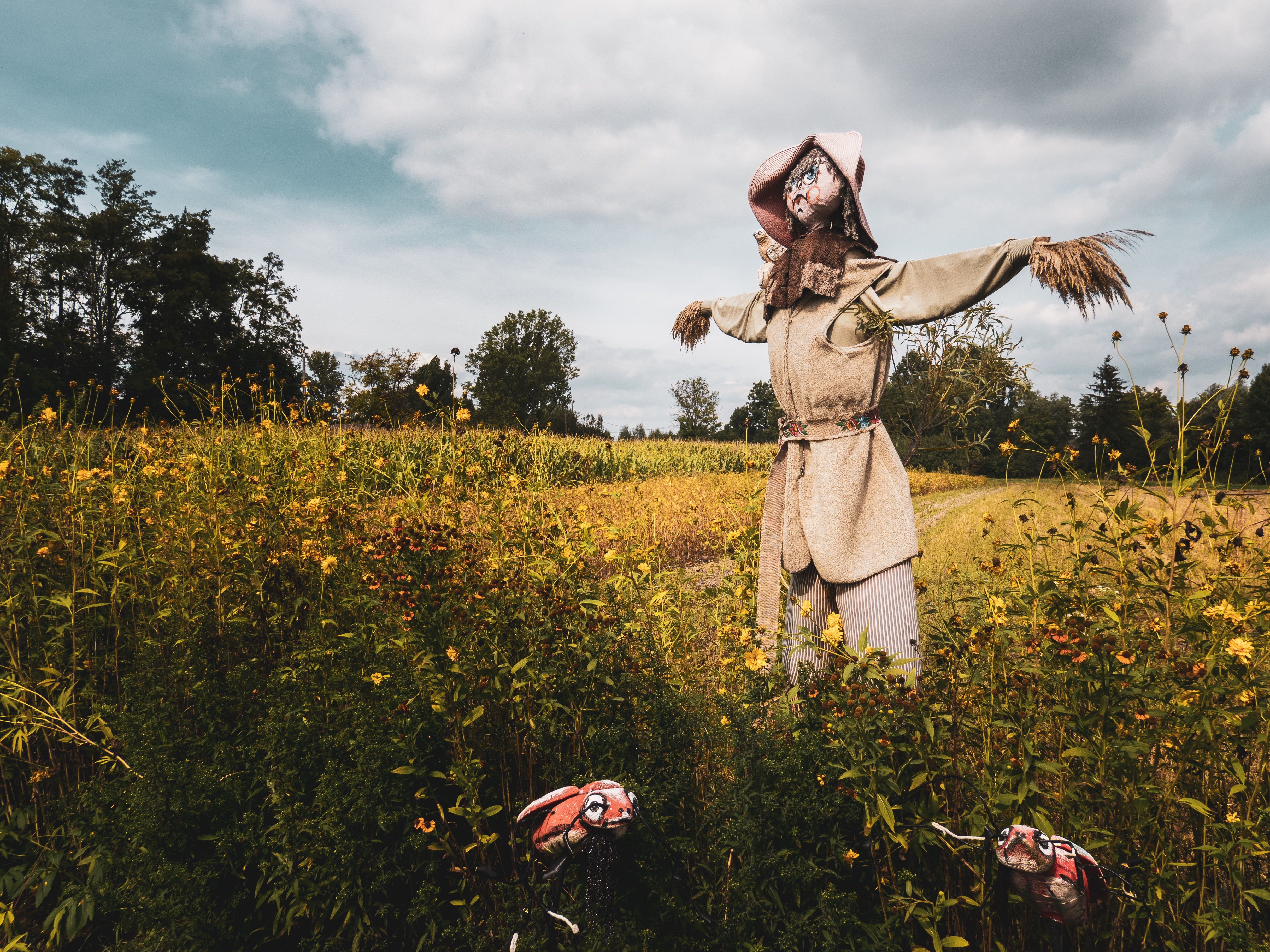 mateusz-raczynski-hahsvf7w9he-unsplash