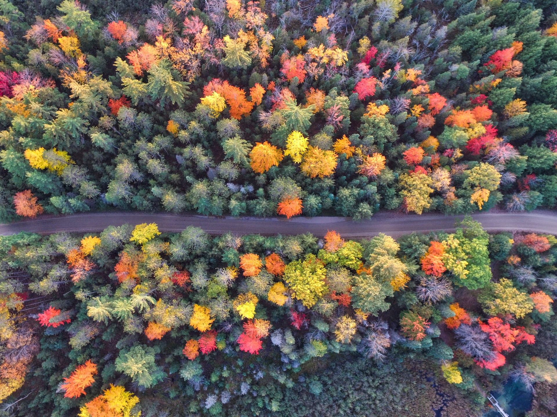 aaron-burden-Qy-CBKUg_X8-unsplash (1)