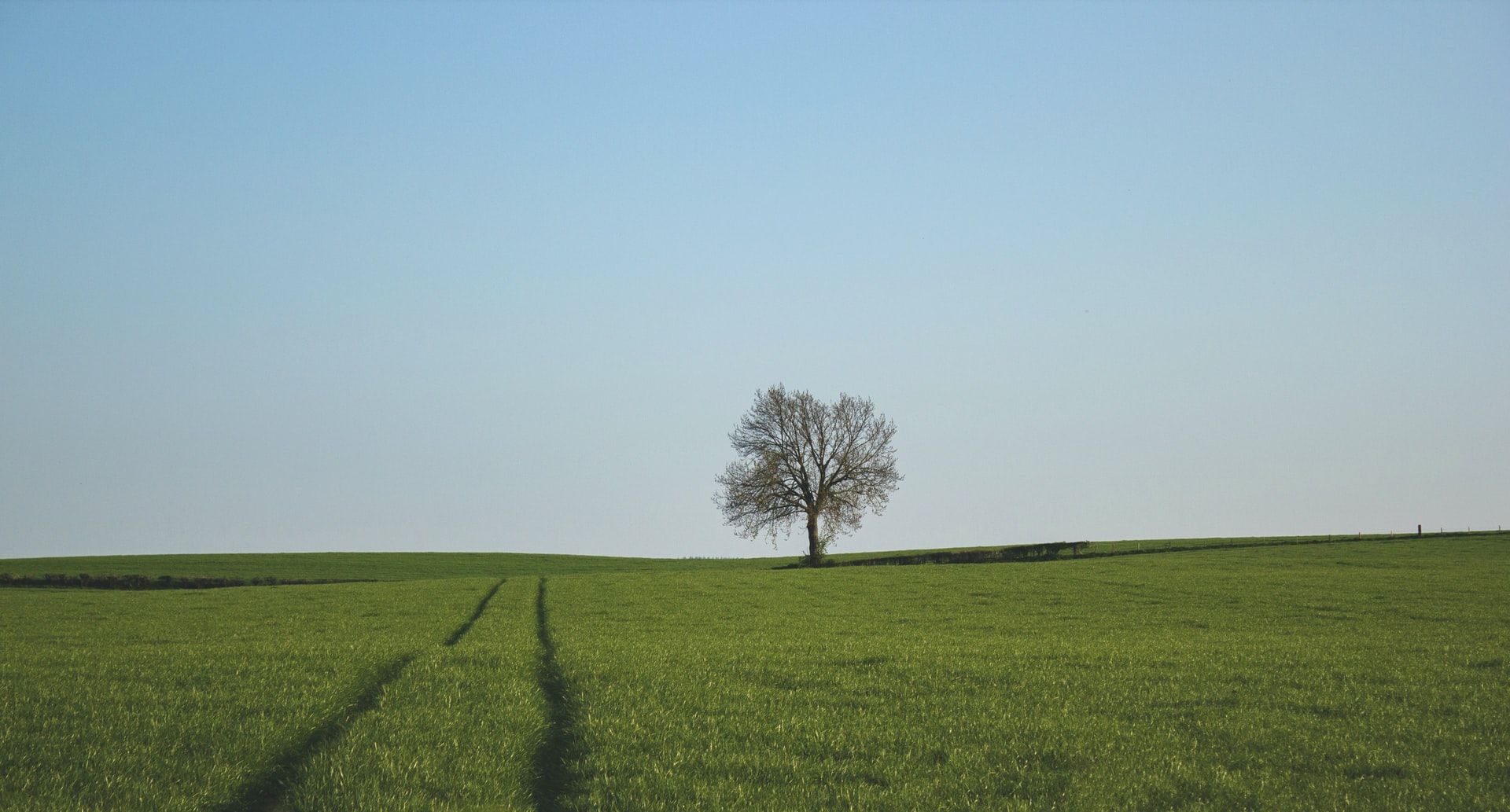 john-mark-arnold-XNIjmb6Ax04-unsplash