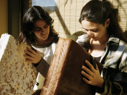 Acords i lletres d'Alosa