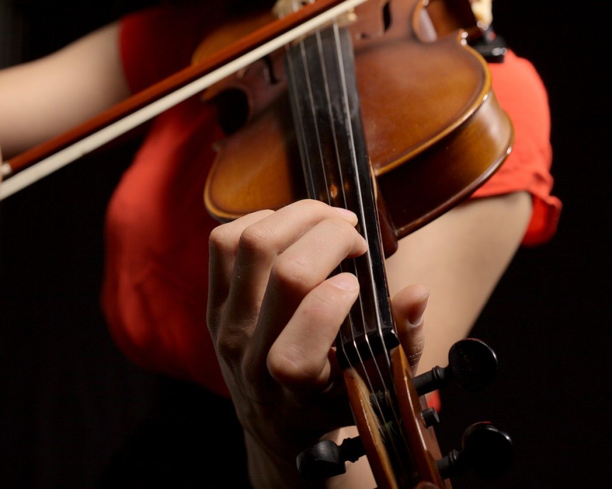 violi