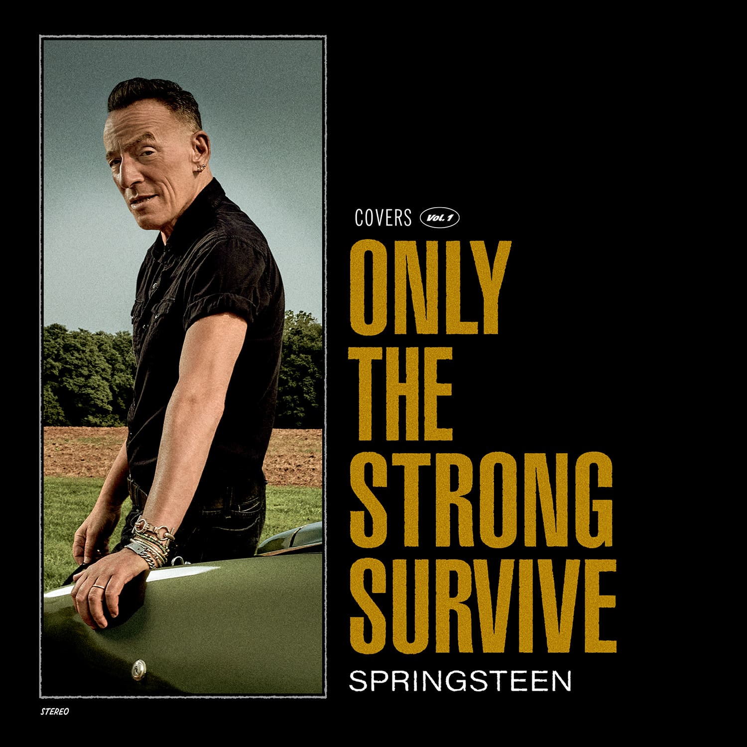 springsteen only strong front3