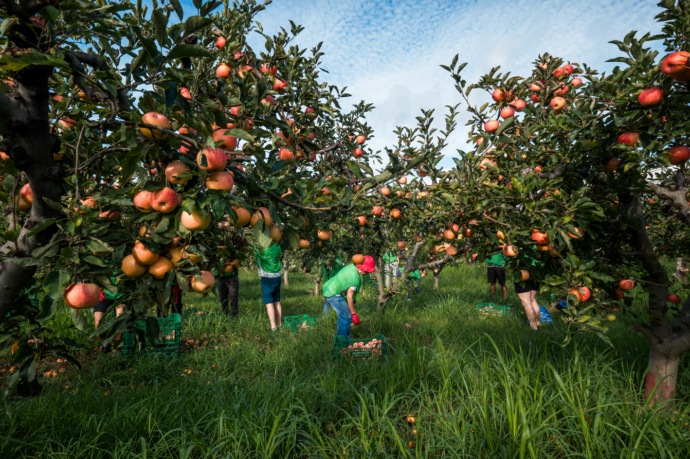 {D2A7B13D 9F17 45DE AAD0 8F7A70937E5E}