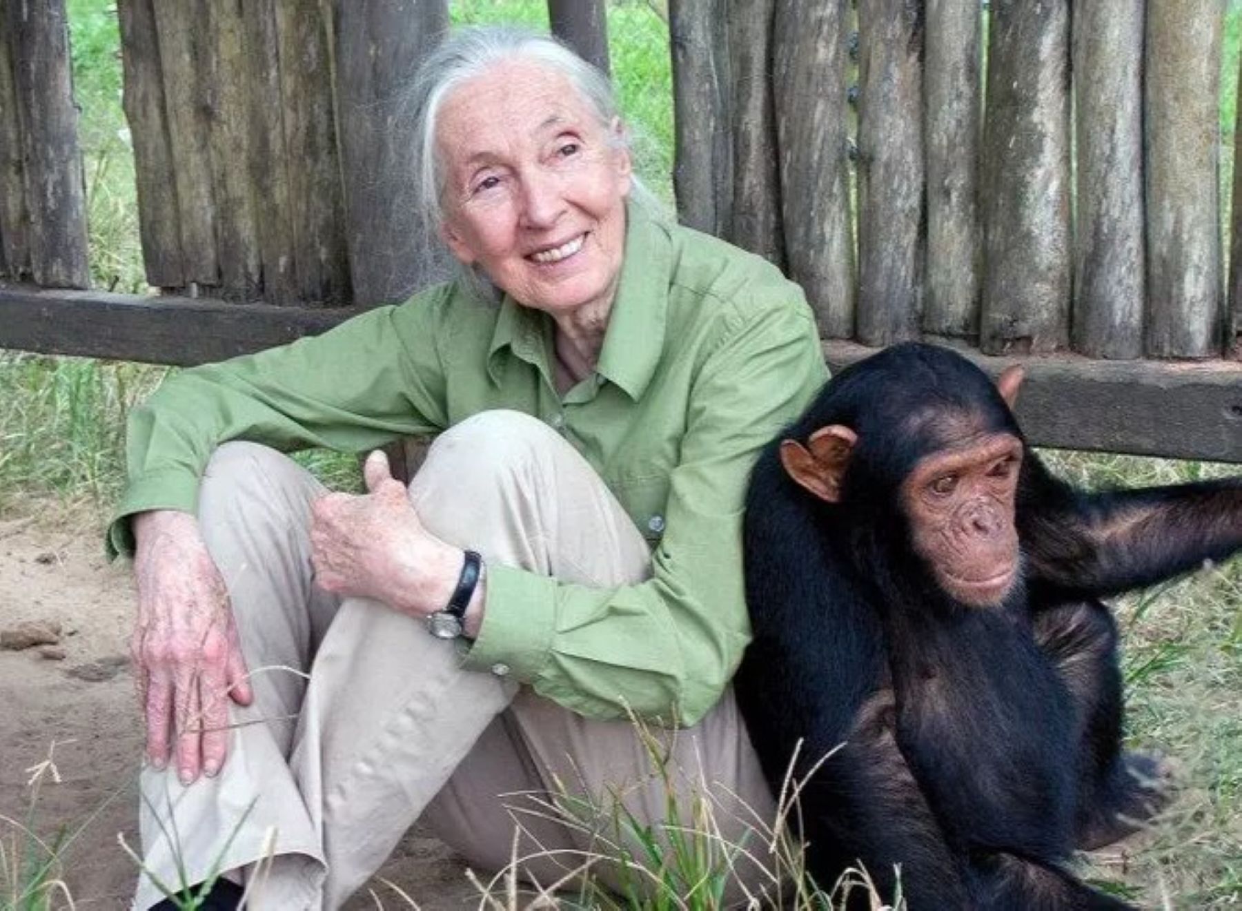 Jane Goodall