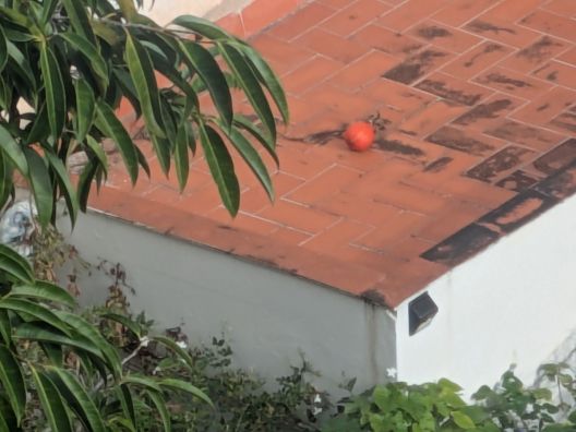 PXL 20251025 090226793.MP PXL 20251025 090226793.MP