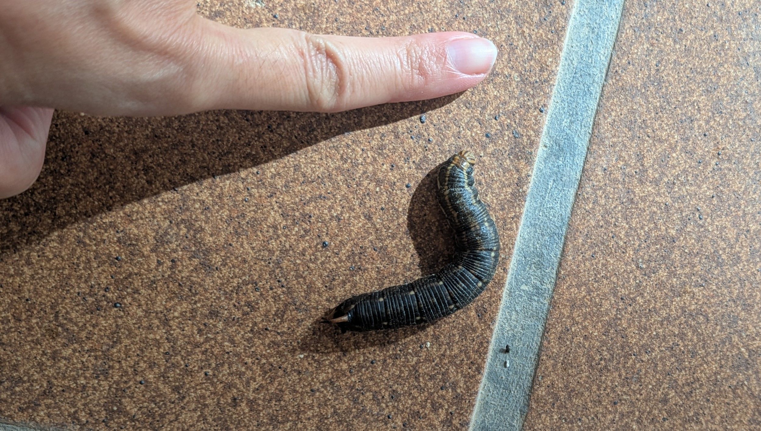 PXL 20251101 111647677ok.MP (1)