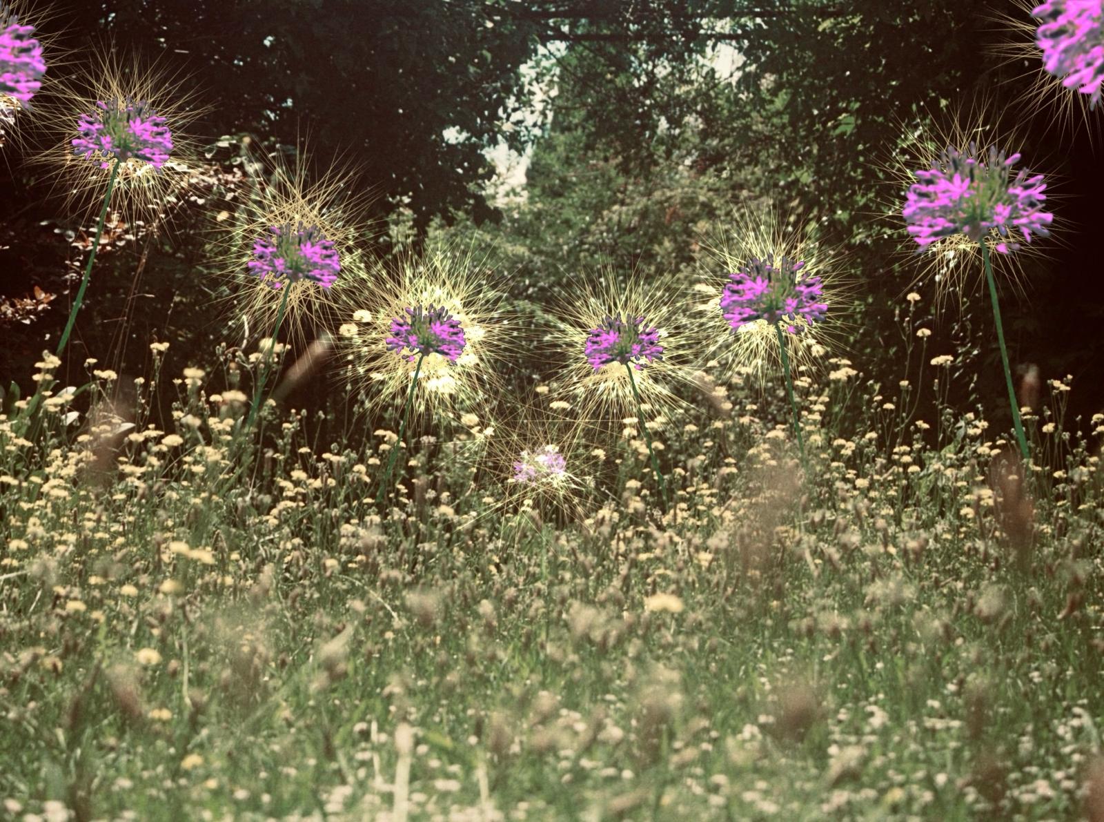 «Continuar». Il·lustració: Jack van Campen «Continuar». Il·lustració: Jack van Campen