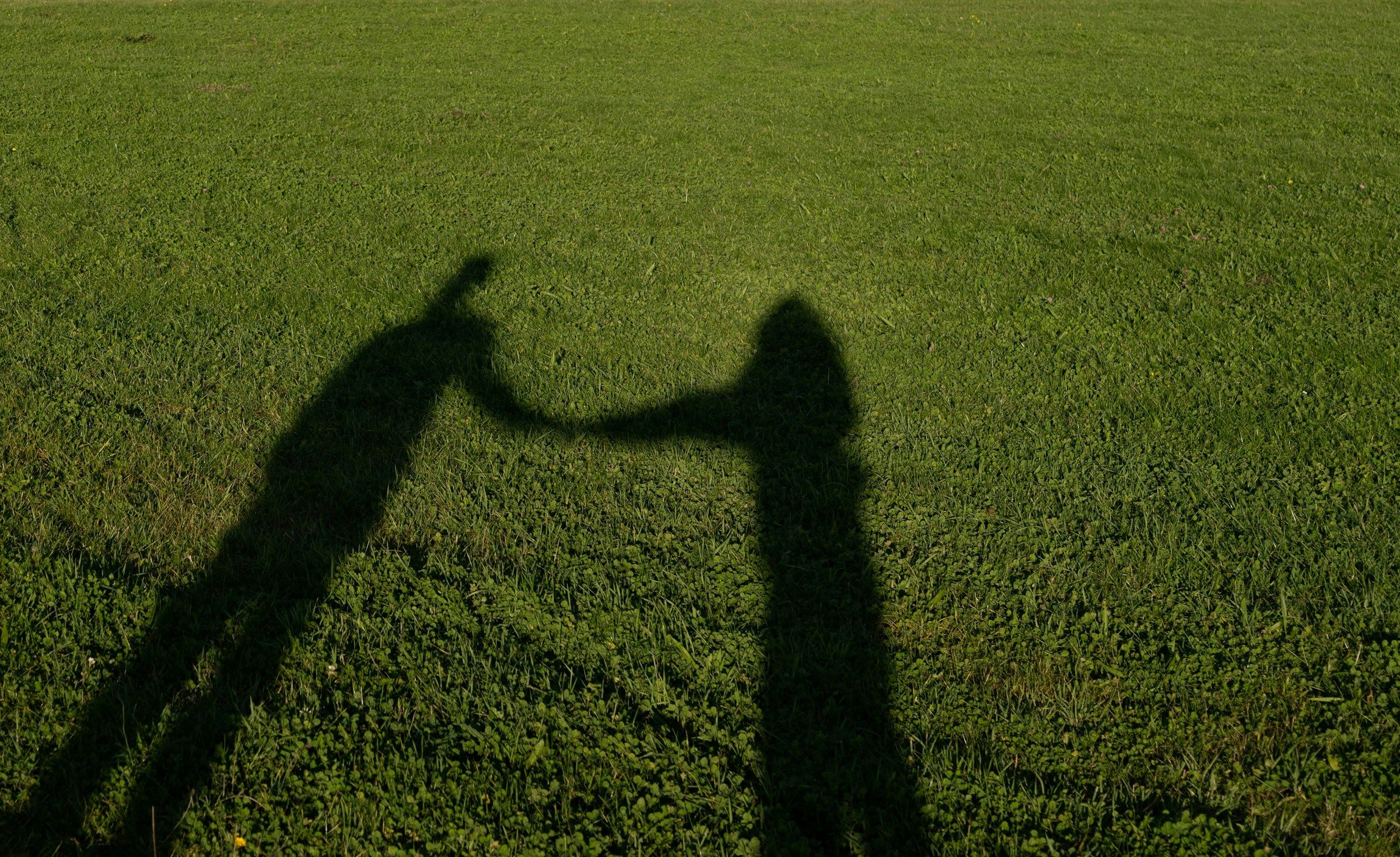 Foto: Giulia Squillace