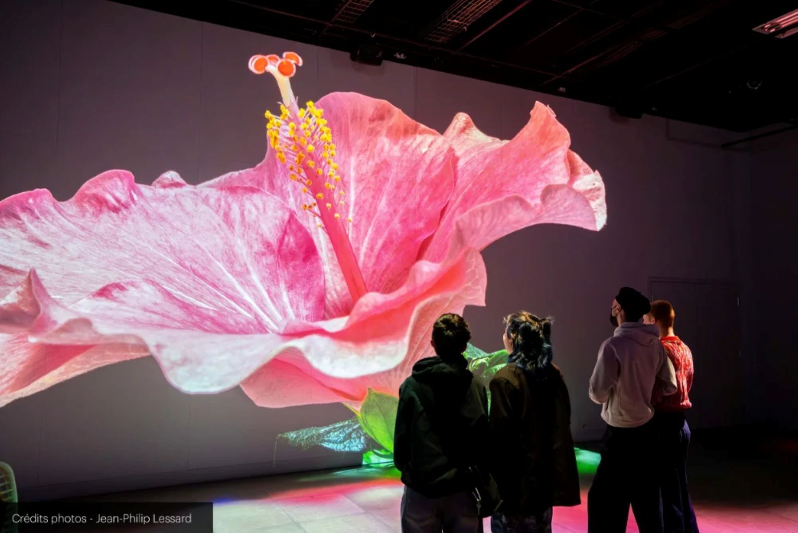 SomosNaturaleza frame big8