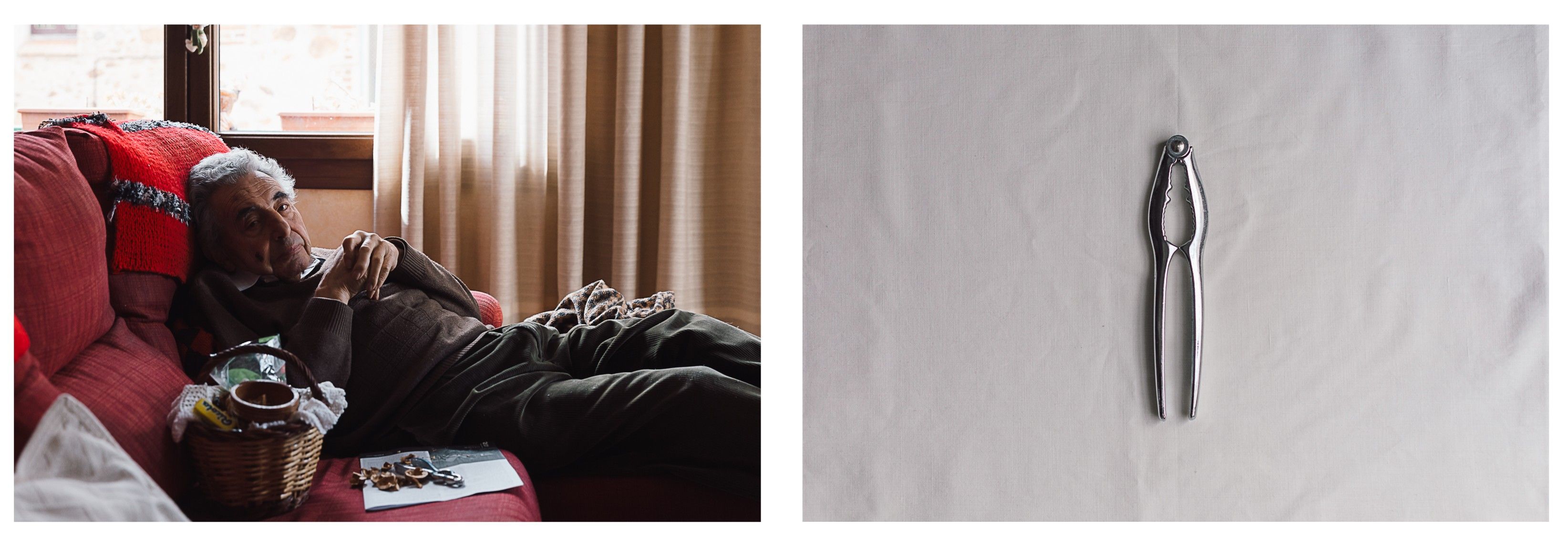 5 trenca anous 5 trenca anous