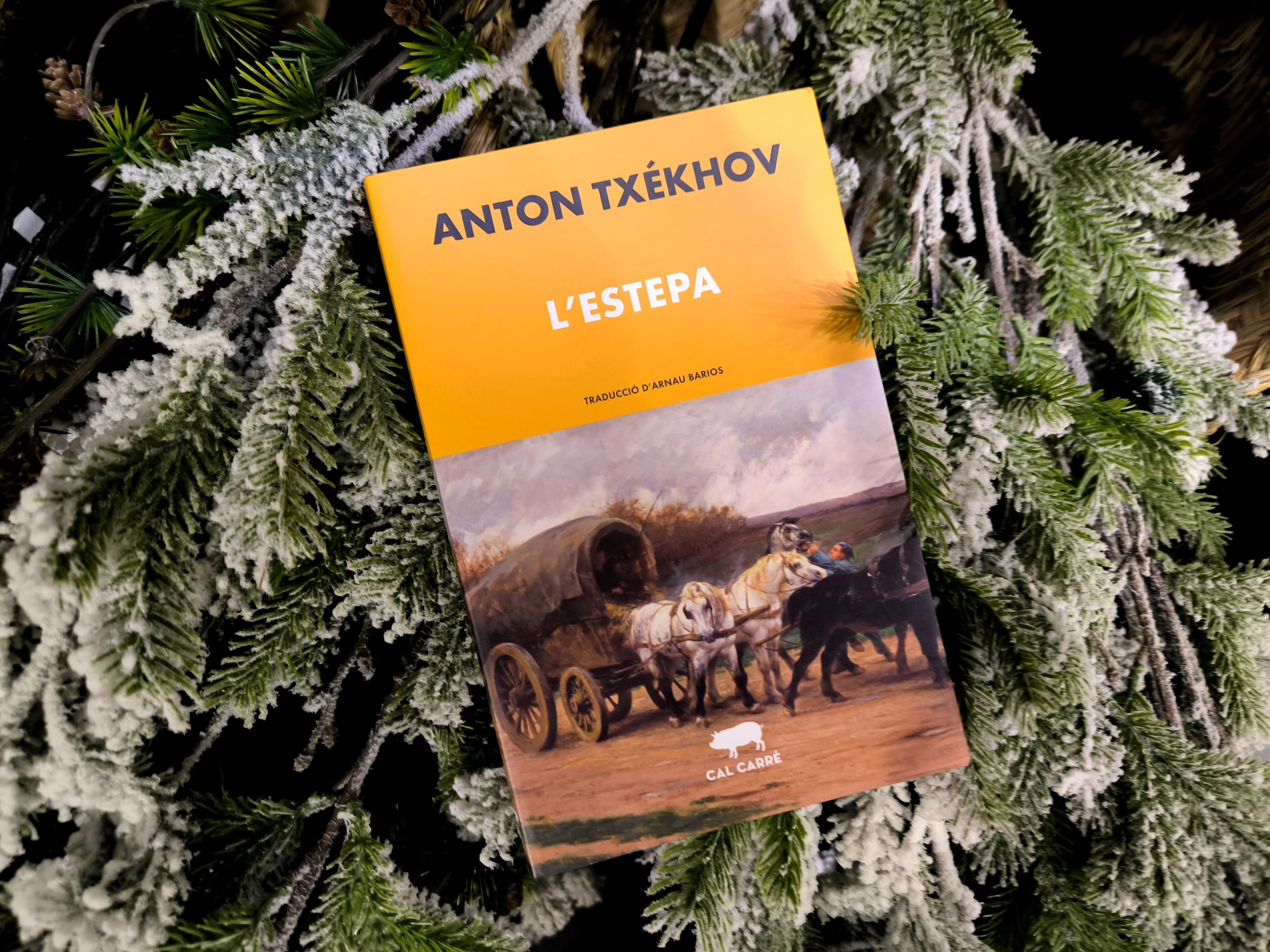 Foto: Catorze Foto: Catorze