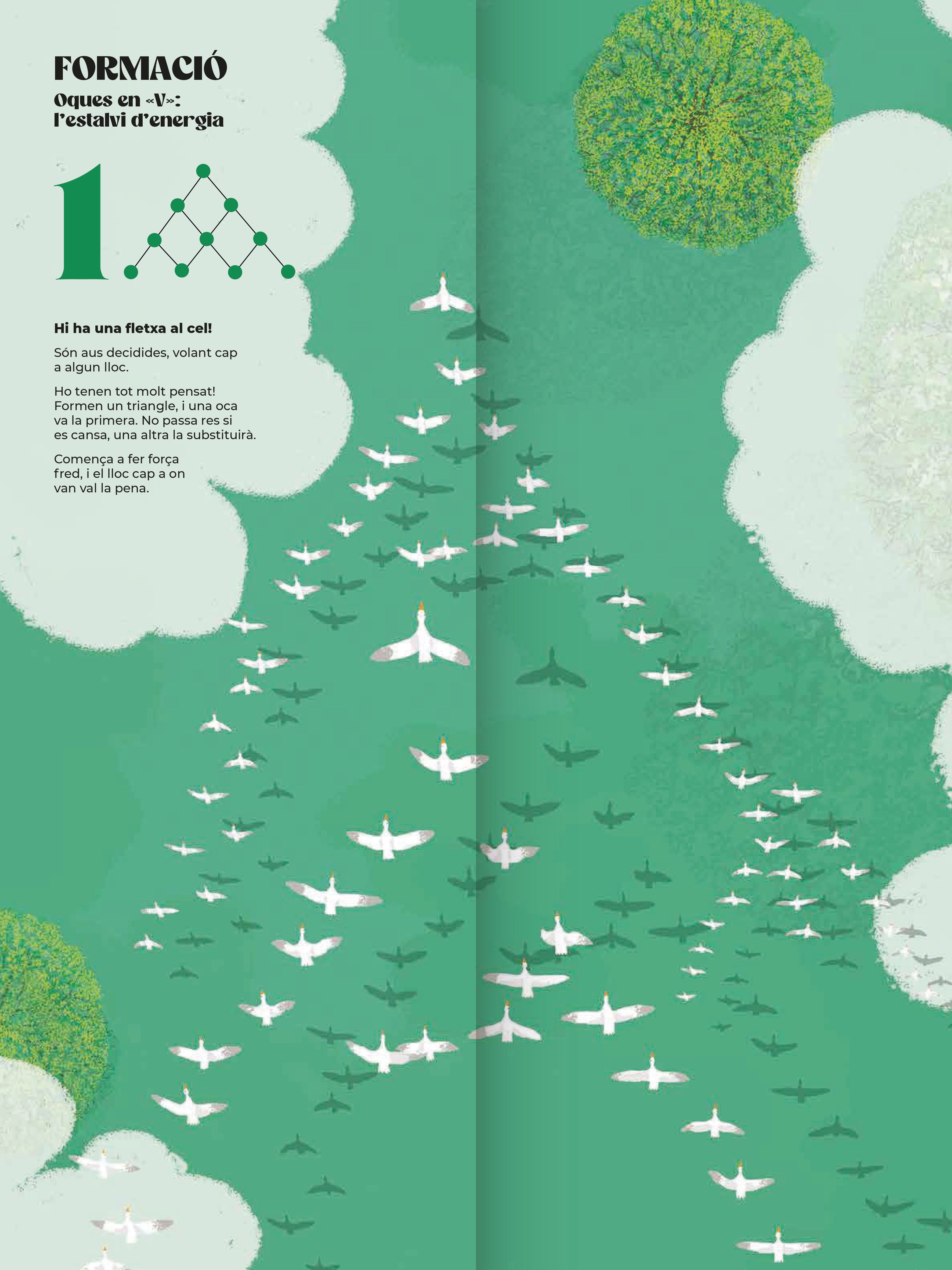 zb coreografies animals cat page 0004