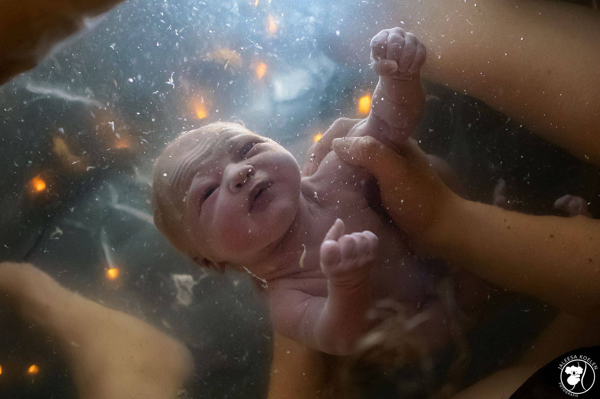 Nebula of Life 2024 WM