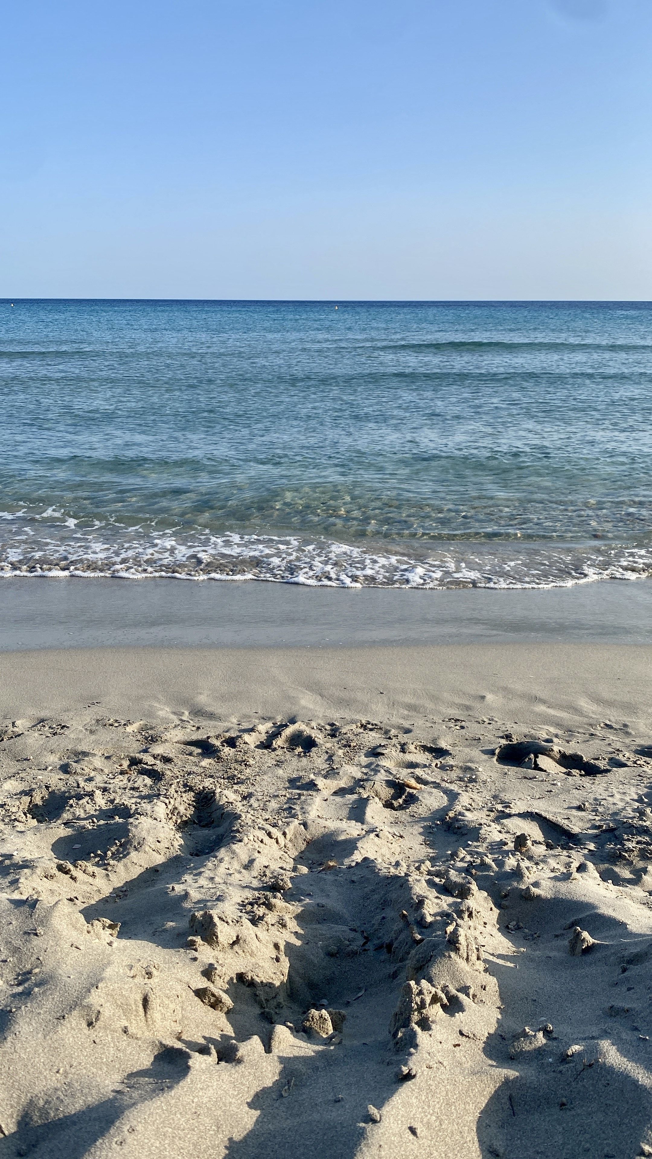 Foto: Arantza Diez Foto: Arantza Diez