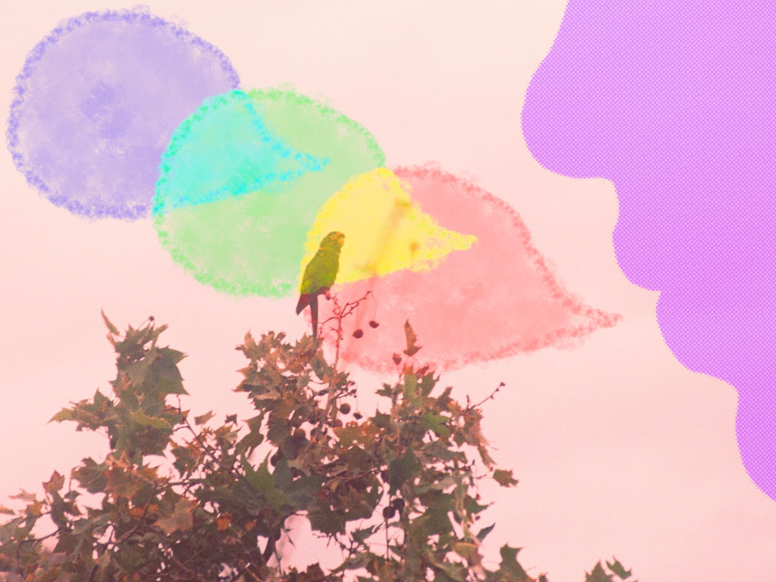 «Em feu vomitar». Il·lustració: Jack van Campen