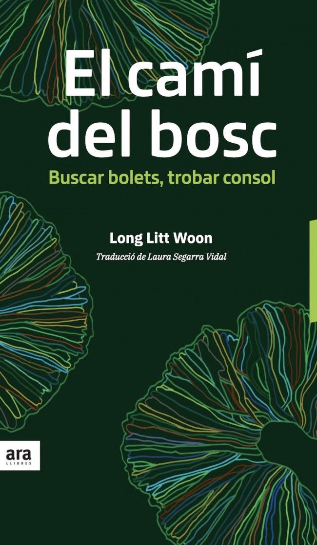 " El camí del bosc"