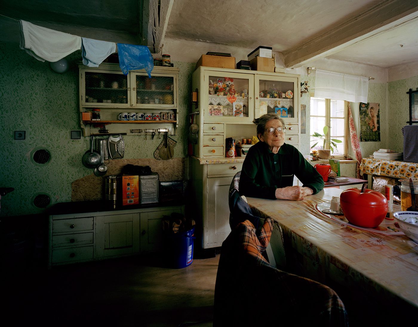 Domestic Landscapes