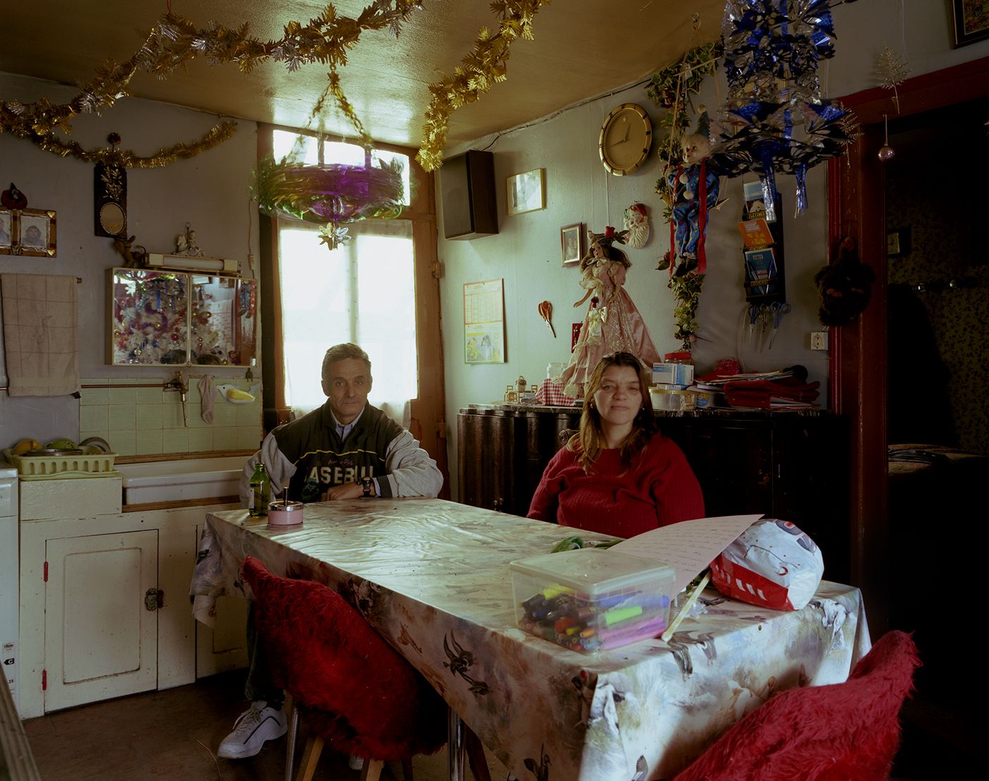 Domestic Landscapes