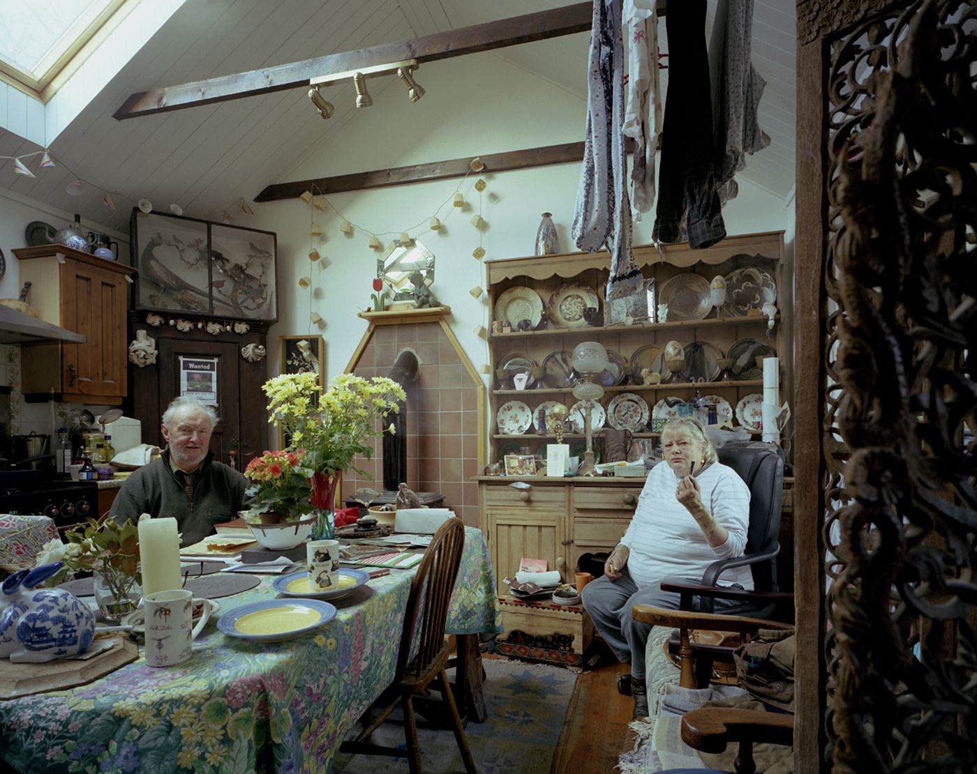 Domestic Landscapes