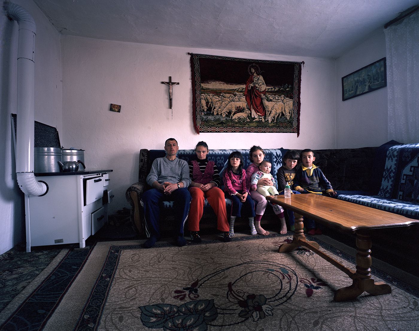Domestic Landscapes