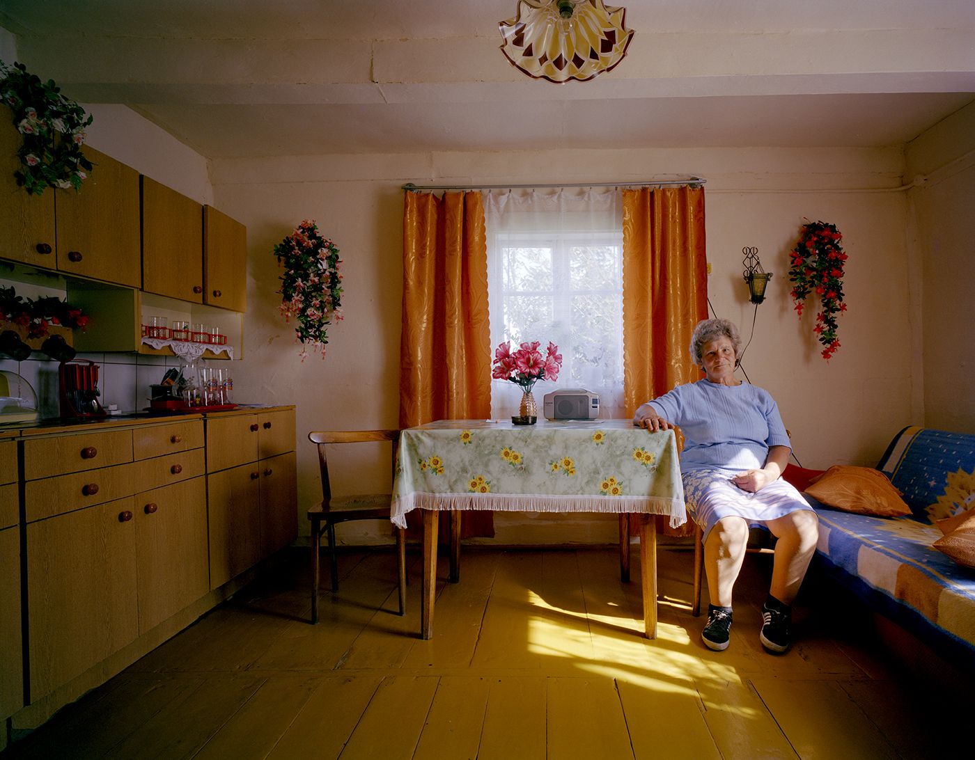 Domestic Landscapes