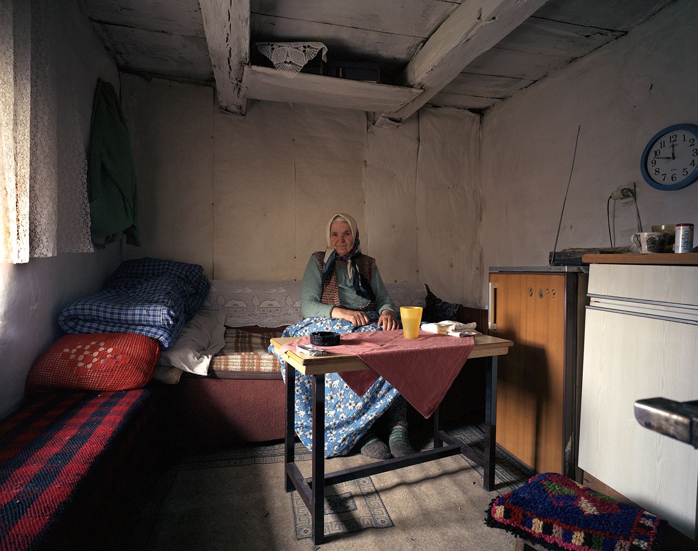 Domestic Landscapes
