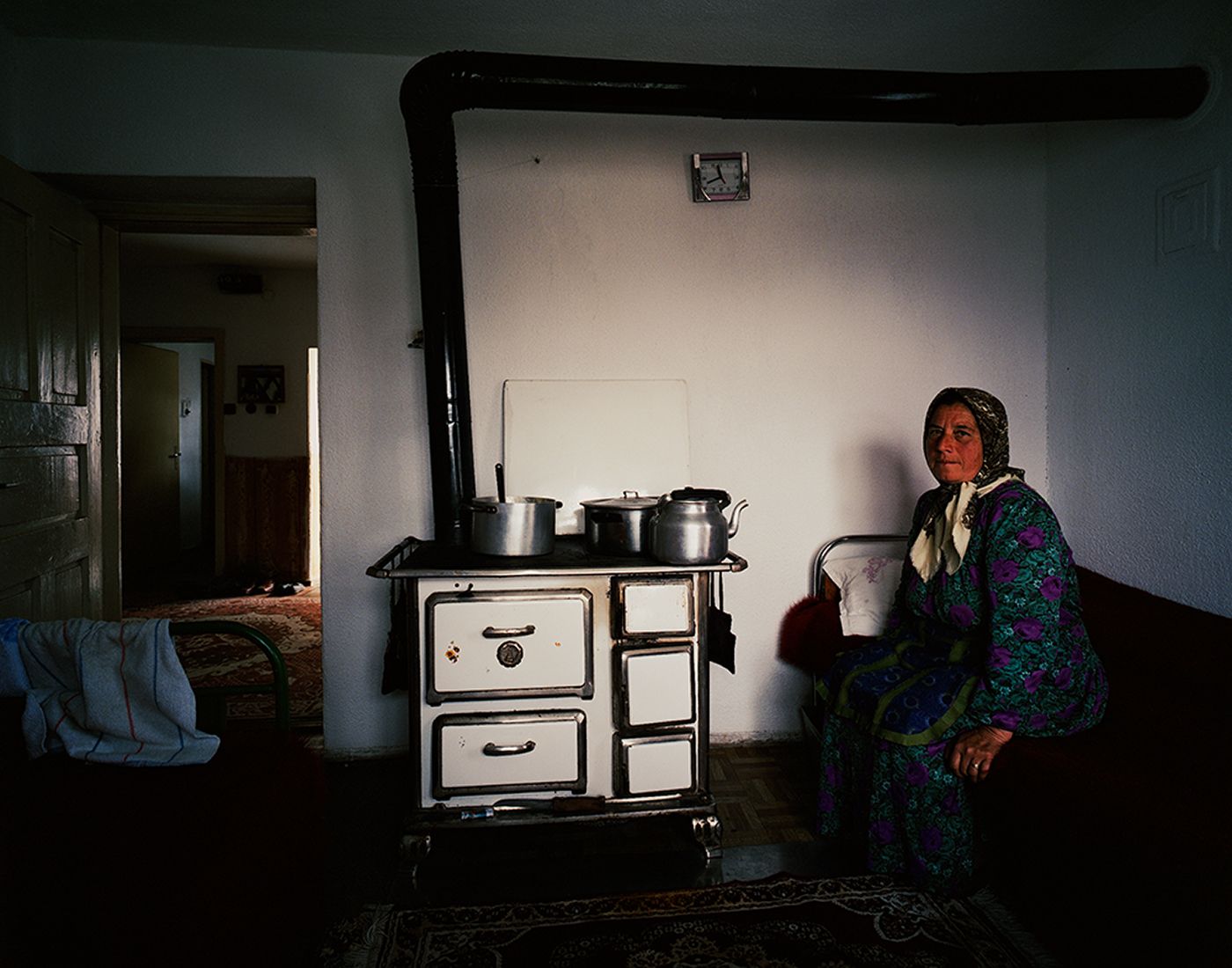"Domestic Landscapes"