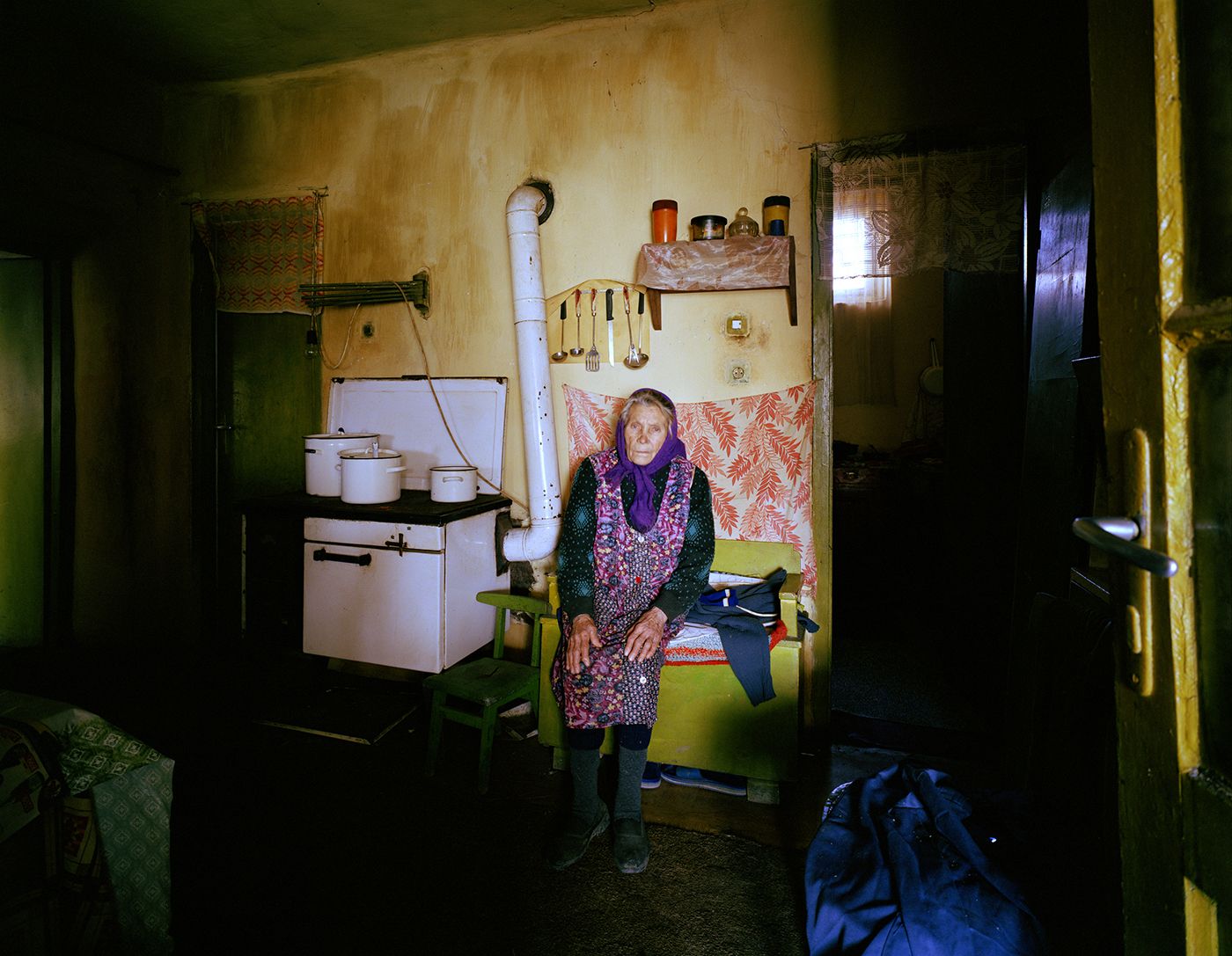Domestic Landscapes