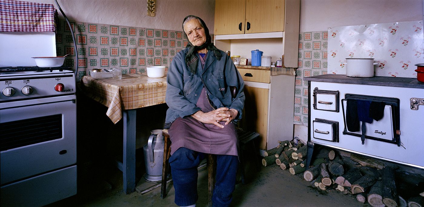 Domestic Landscapes