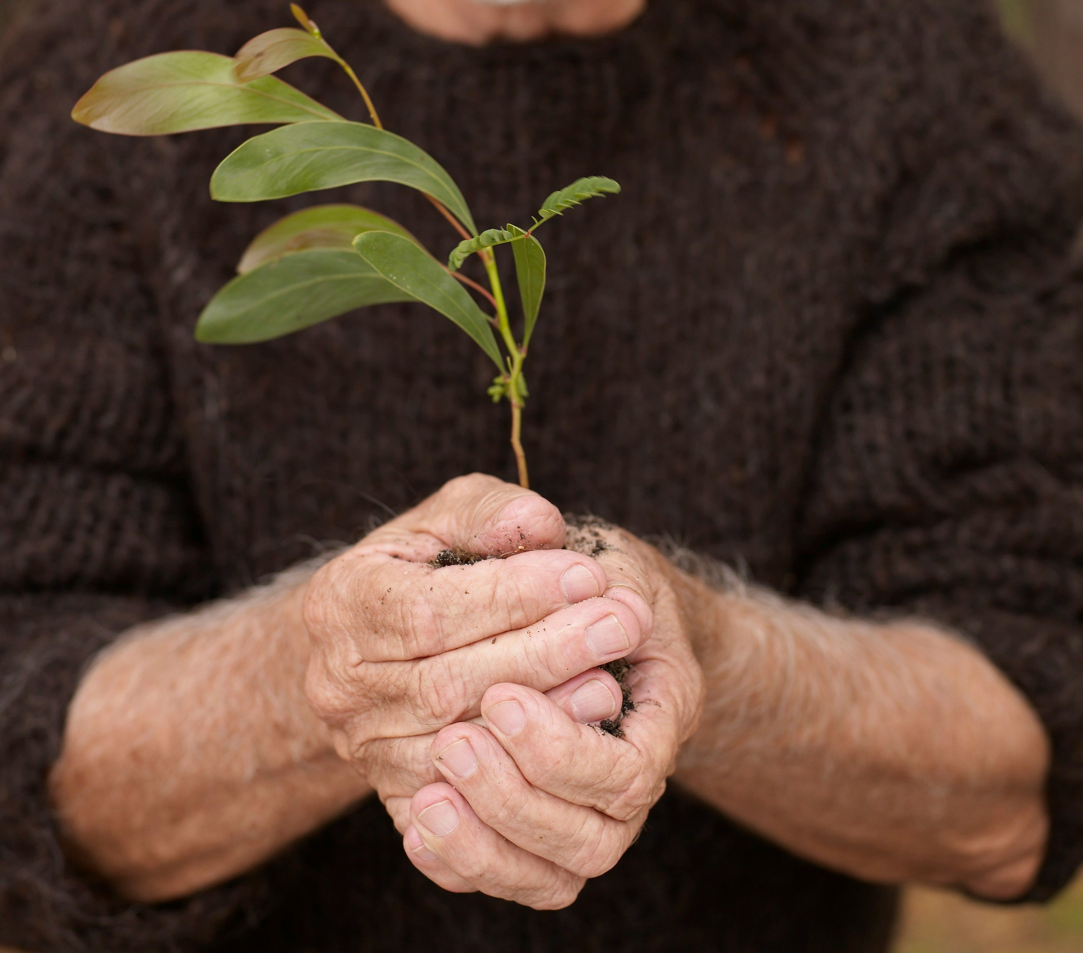 Foto: Getty Images Foto: Getty Images
