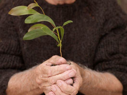 Foto: Getty Images Foto: Getty Images