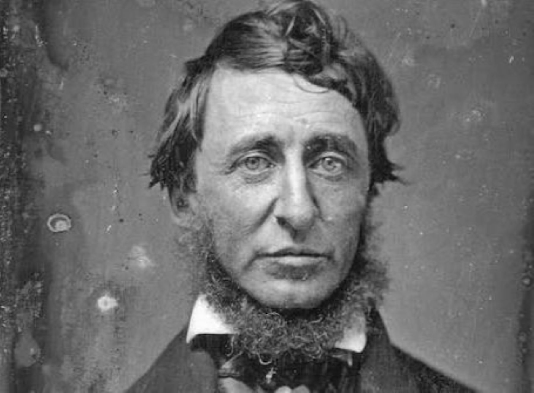 Henry David Thoreau