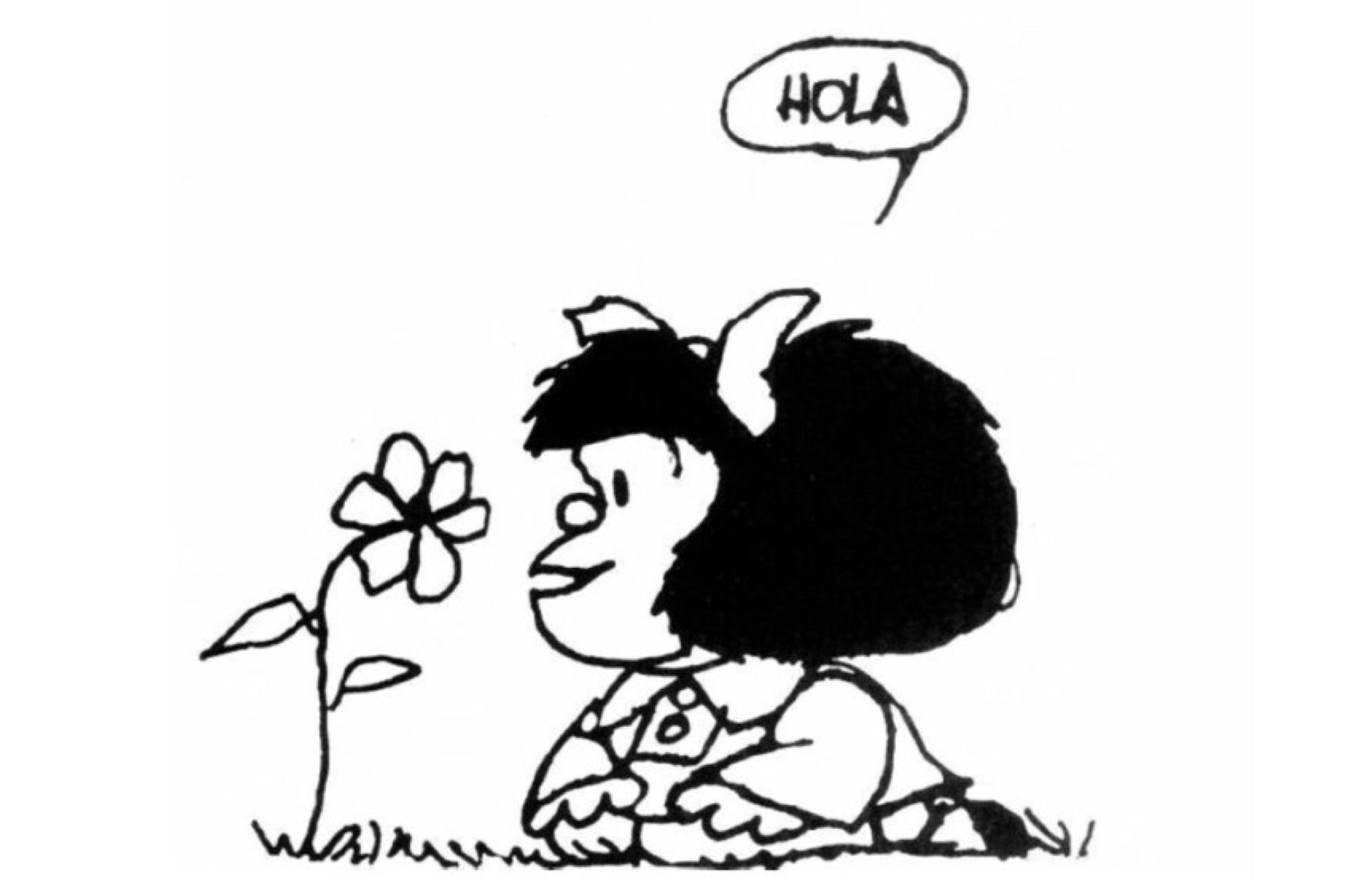 Quino